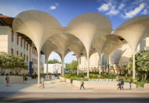 New look coming to Blanton Museum of Art