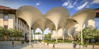 New look coming to Blanton Museum of Art