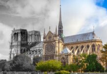 Why The Notre Dame fire affected us all